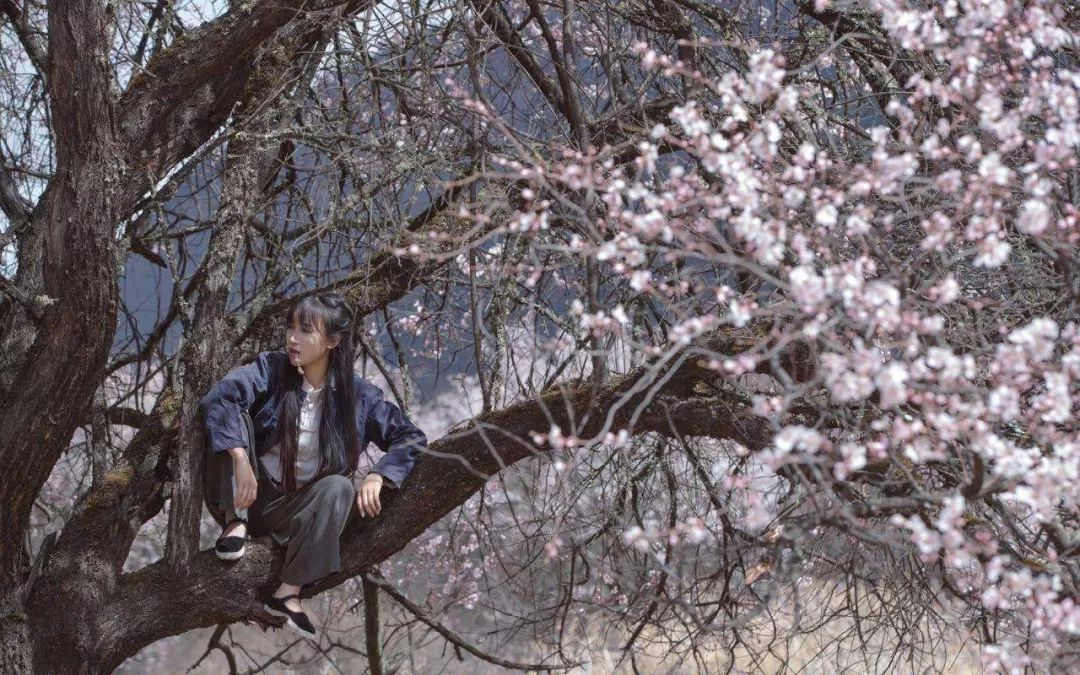 「中青评论」别急着否定李子柒，也别匆忙定义农耕生活