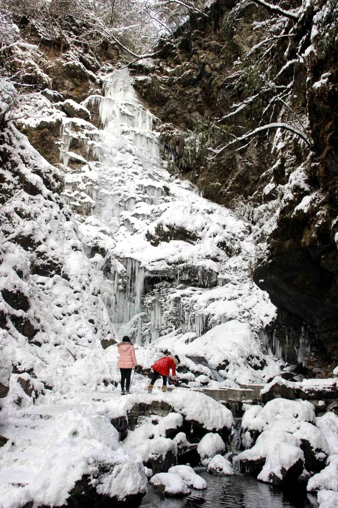 地址:龍門山鎮九峰村,團山村門票:免費自駕:①彭州市區—彭白路—龍門