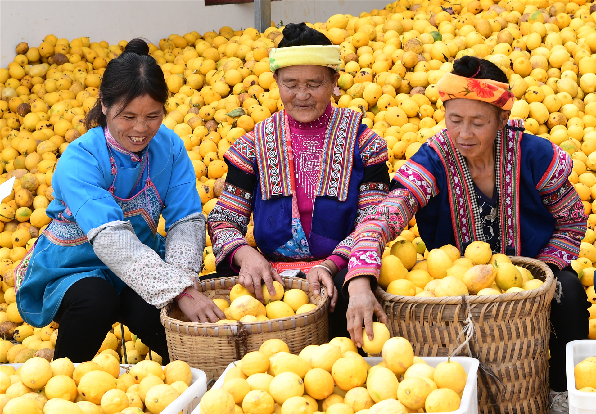 罗平县鲁布革布依风情特色小镇!