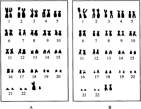 科学家发现y染色体逐渐消失,未来还会有男人吗?