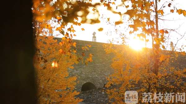 荔枝新闻■那年乱世如麻，如今锦绣年华！跨越82年，打卡“南京和平地图”