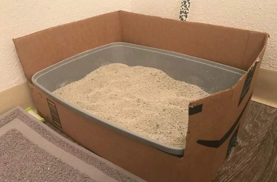 用纸箱做的猫砂盆