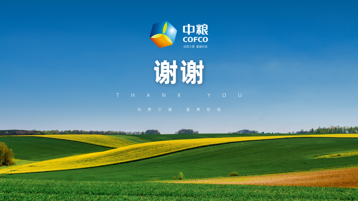 60分钟设计一份关于中粮案例分析的ppt效果还不错