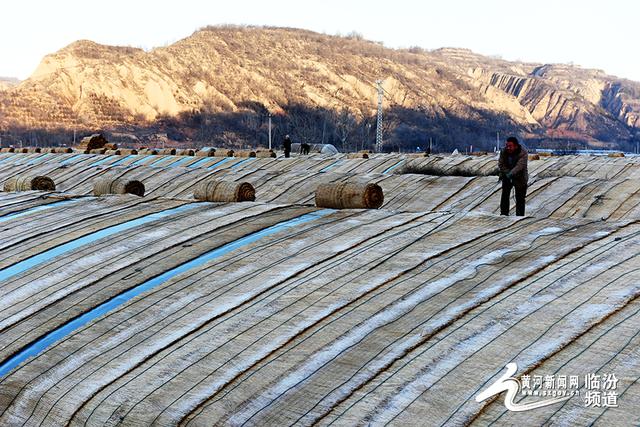 山西隰县大力推进特色产业
