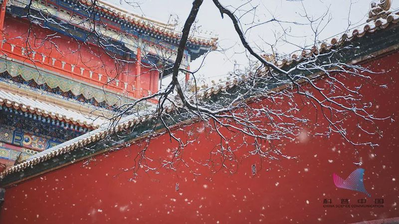 「科普中国」为什么一下雪，整个世界就变得安静了？