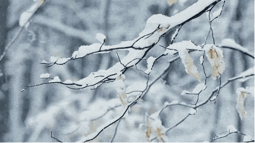 「科普中国」为什么一下雪，整个世界就变得安静了？