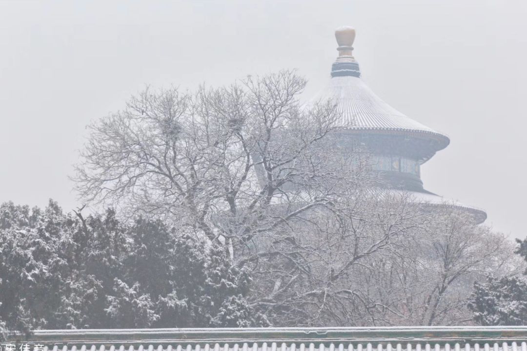 #环球时报#雪???雪???雪??? 快看！你们期待的故宫照片，来了！