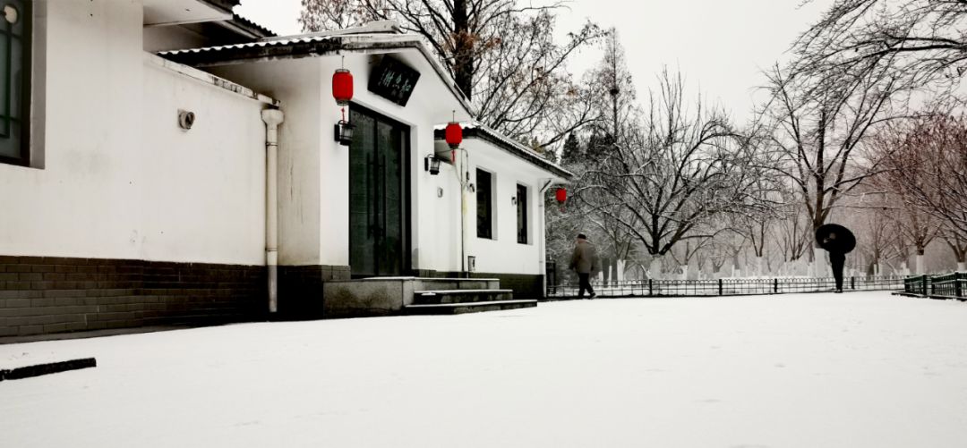 #环球时报#雪???雪???雪??? 快看！你们期待的故宫照片，来了！