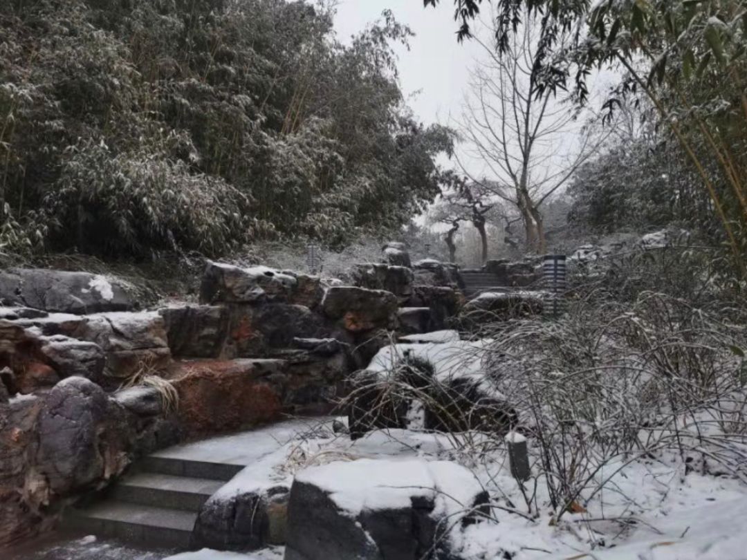 #环球时报#雪???雪???雪??? 快看！你们期待的故宫照片，来了！
