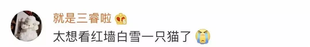 #环球时报#雪???雪???雪??? 快看！你们期待的故宫照片，来了！