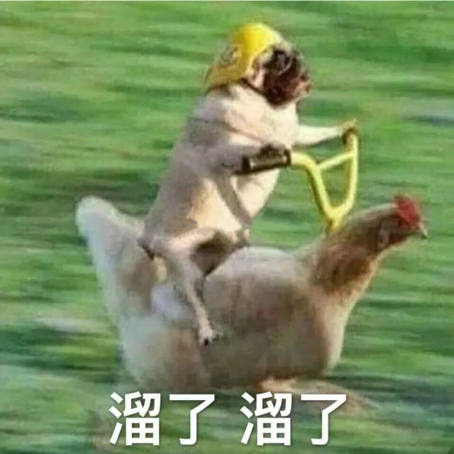 「半岛晨报」第一次见家长，男朋友居然紧张得叫我爸大哥