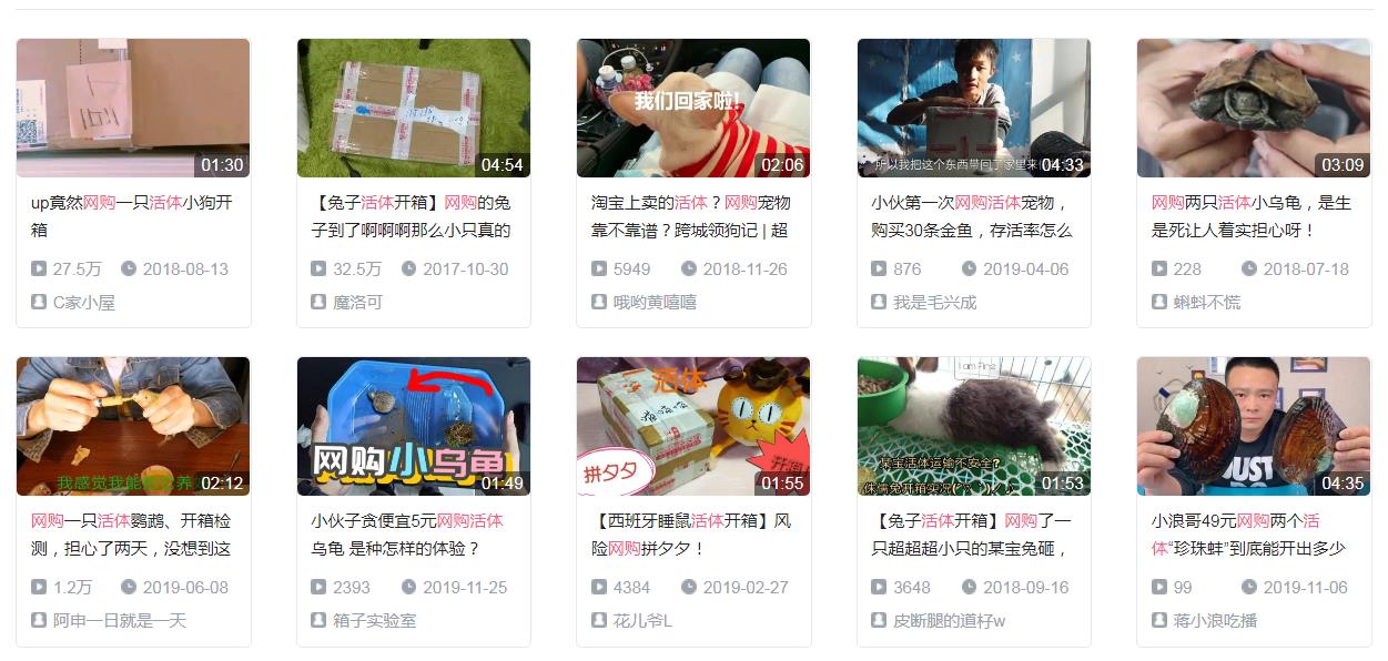 「经济日报」网售宠物还包邮，遇到这些“便宜”要当心了！