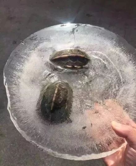 [杭州之声]冬天，千万别往东北寄快递！否则……哈哈哈哈哈