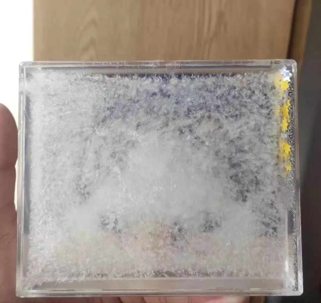[杭州之声]冬天，千万别往东北寄快递！否则……哈哈哈哈哈