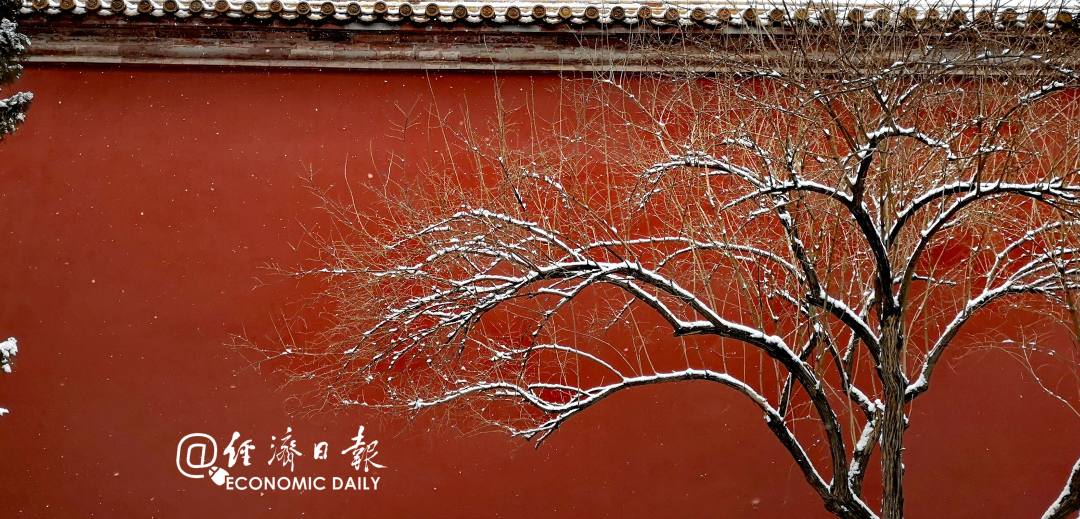 经济日报：22日12时19分“冬至”：阴律随寒改，阳和应节生