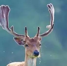 [农业科技报]今日冬至｜夜与思念长