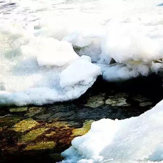 [农业科技报]今日冬至｜夜与思念长