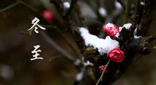 [农业科技报]今日冬至｜夜与思念长