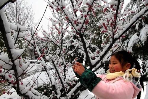[农业科技报]今日冬至｜夜与思念长