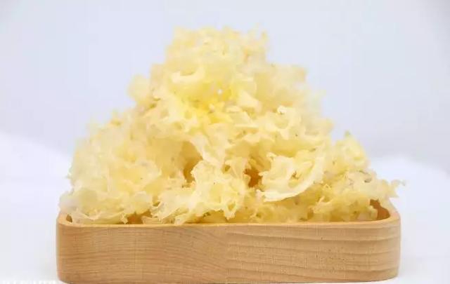 [农业科技报]今日冬至｜夜与思念长