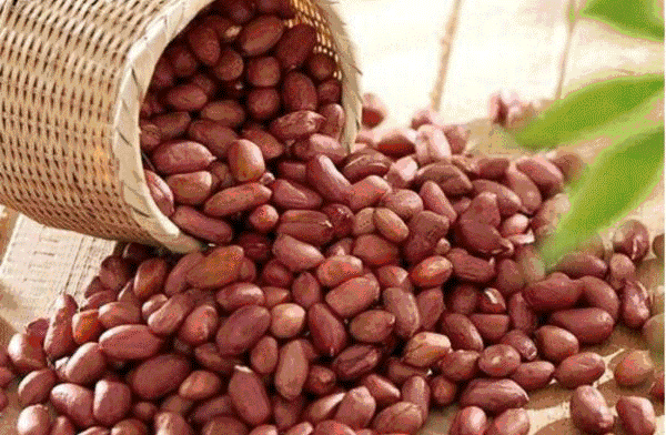 [农业科技报]今日冬至｜夜与思念长