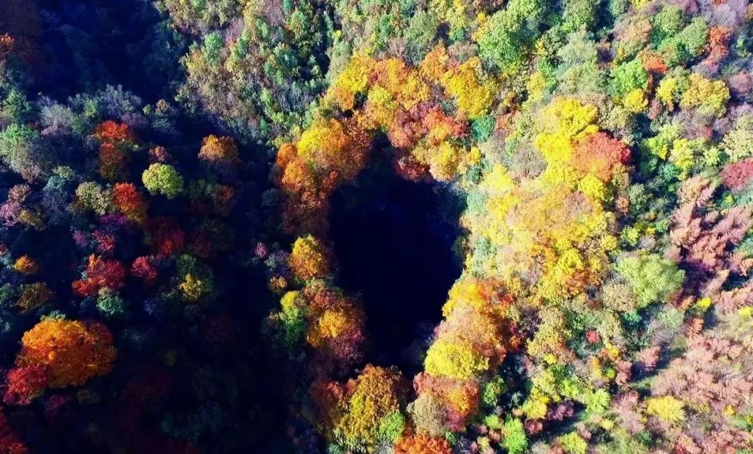 天坑是一種大型喀斯特負地形 在我國境內分佈廣泛 漢中天坑群所在的