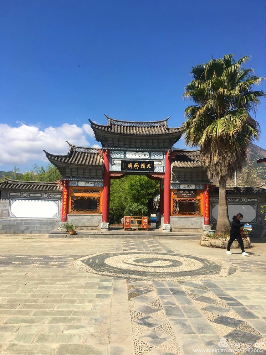 【行摄岁月】这个叫作西湖的湿地中，生活着世界上公认的最美水鸟，却不在杭州