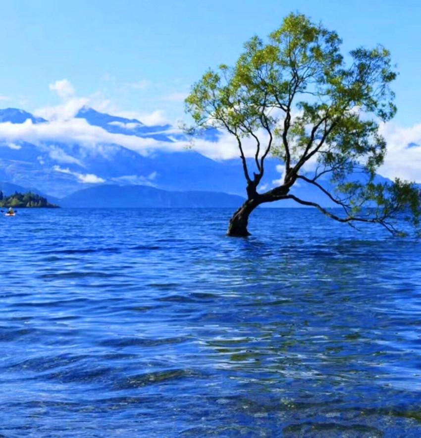 【行摄岁月】这个叫作西湖的湿地中，生活着世界上公认的最美水鸟，却不在杭州