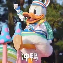 河南交通广播：河南部分高速管制！大雾还要继续！还有这几个消息你一定要知道……