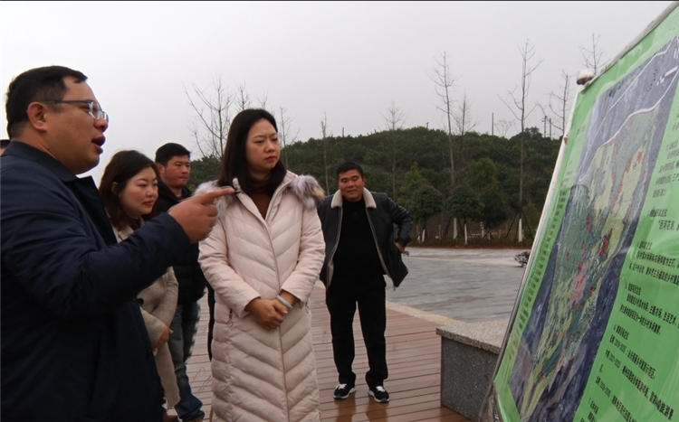 周露在永兴县湘阴渡街道调研乡村旅游发展情况