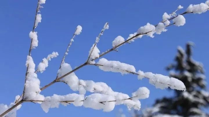 六人同题古诗词2019年的第一场雪