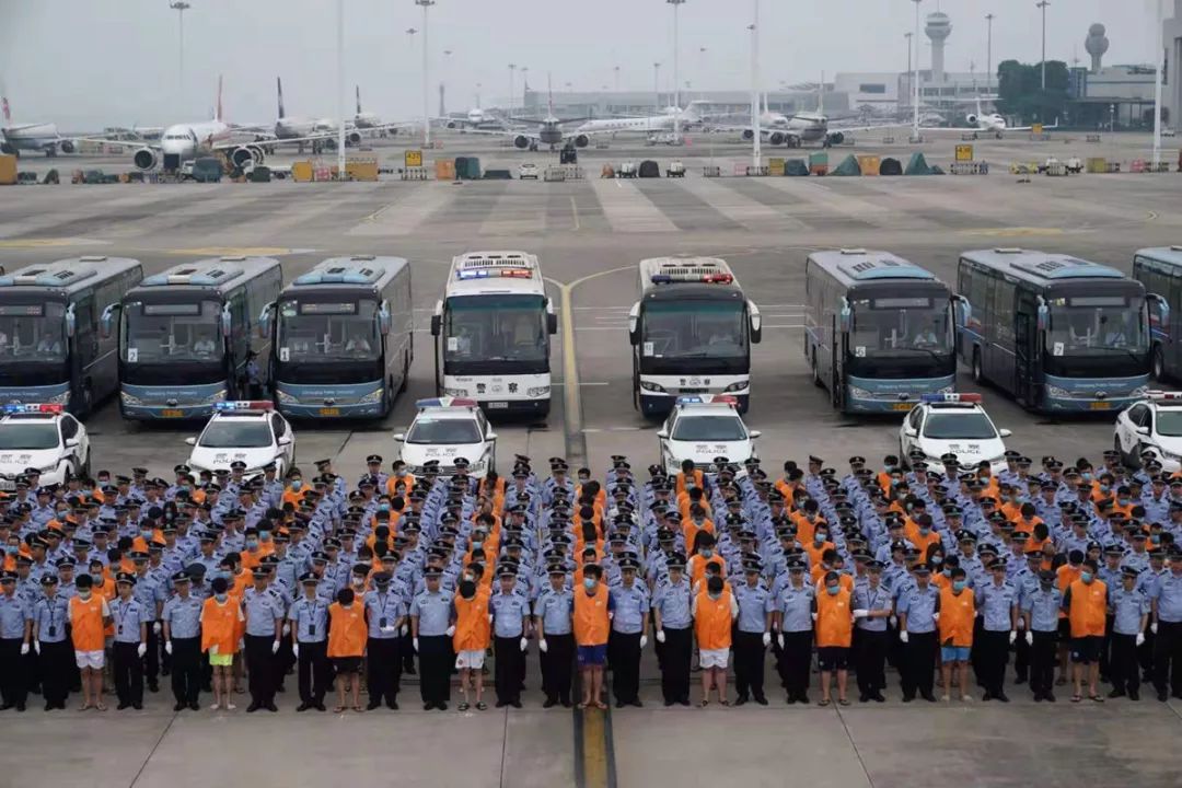 【广东省公安厅】年终盘点：“杀猪盘”上榜“2019年度中国媒体十大新词语”