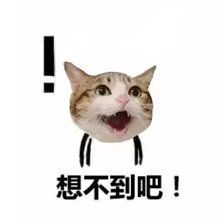 【广东省公安厅】年终盘点：“杀猪盘”上榜“2019年度中国媒体十大新词语”