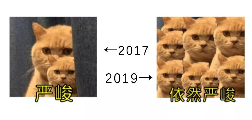 【广东省公安厅】年终盘点：“杀猪盘”上榜“2019年度中国媒体十大新词语”