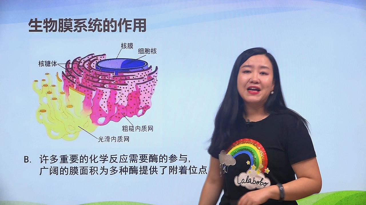 生物膜系统的作用高中生物新教材知识点翟思茗