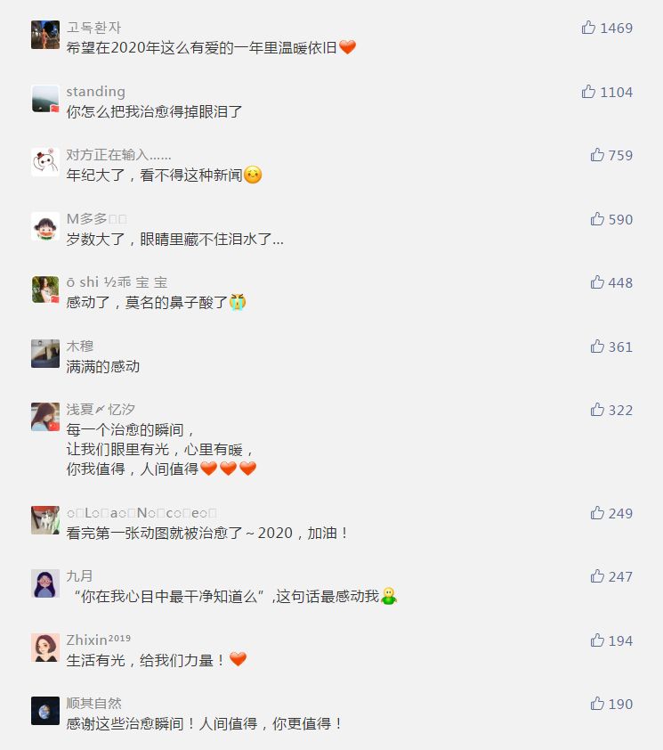 「东北网」「温暖」感谢2019的这些瞬间，治愈了你我