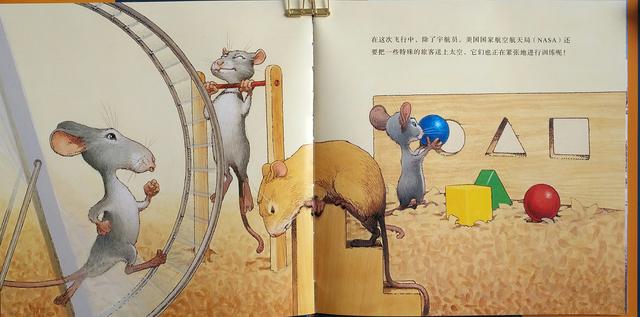 老鼠宇航员绘本图文图片