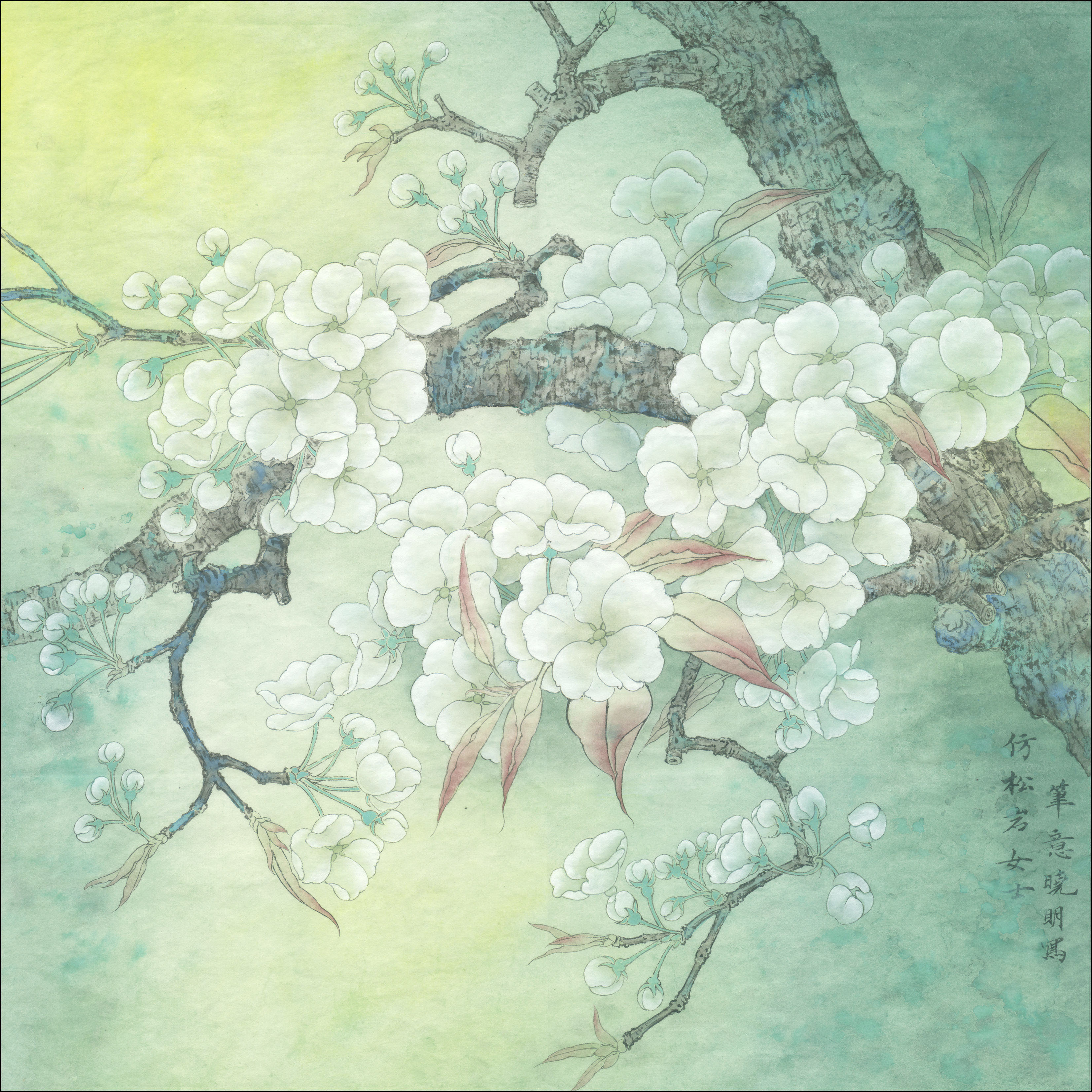 梨花淡白柳深青蝴蝶尽舞吐清芳工笔梨花蝴蝶兰绘制步骤