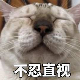 经济日报■局地降温14℃！冷空气返场要跨年！