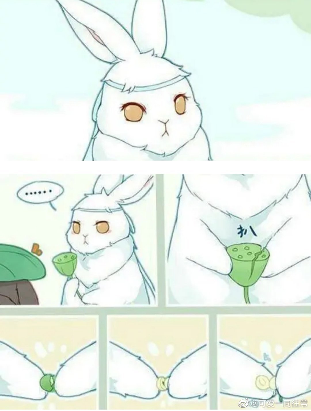 魔道超萌的兔子忘羡汪叽爬垮浴桶内心戏丰富羡羡萌坏了