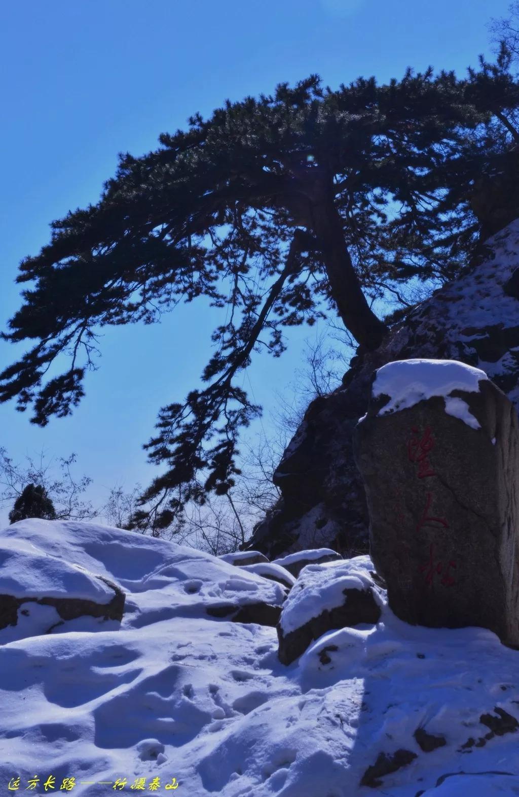 泰山五大夫松西侧山腰望人松图源网络李泽民供图在这里可遥望十八盘