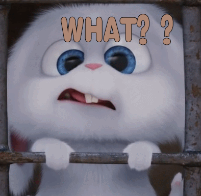 「青岛新闻网」劳斯莱斯、法拉利……江浙沪上千辆豪车一夜失踪！疑都和同一个女子有关