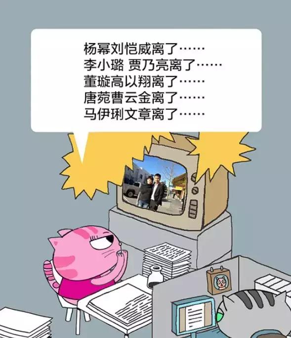 「经济日报」有猫病丨难道不是每对夫妻都应该有一个家庭事务分工手册吗？