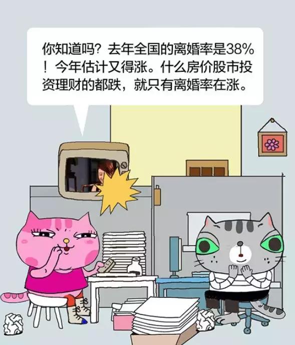 「经济日报」有猫病丨难道不是每对夫妻都应该有一个家庭事务分工手册吗？