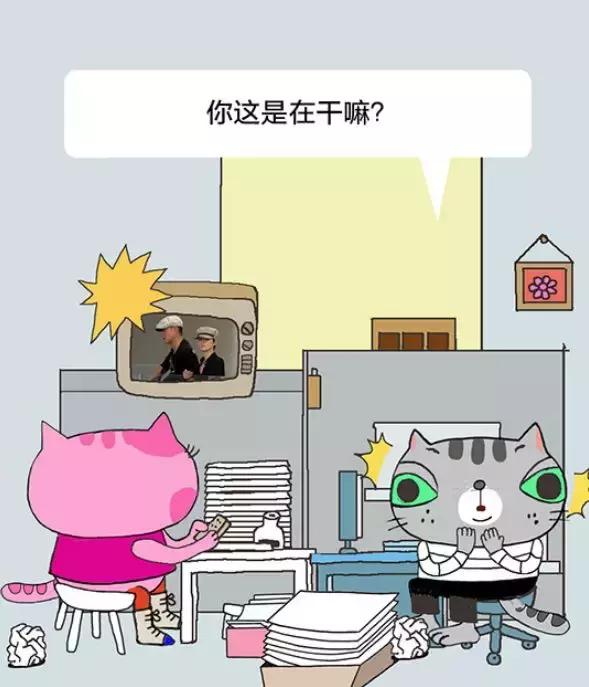 「经济日报」有猫病丨难道不是每对夫妻都应该有一个家庭事务分工手册吗？