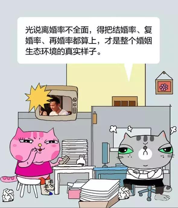 「经济日报」有猫病丨难道不是每对夫妻都应该有一个家庭事务分工手册吗？