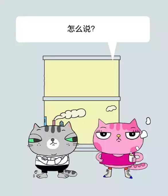 「经济日报」有猫病丨难道不是每对夫妻都应该有一个家庭事务分工手册吗？