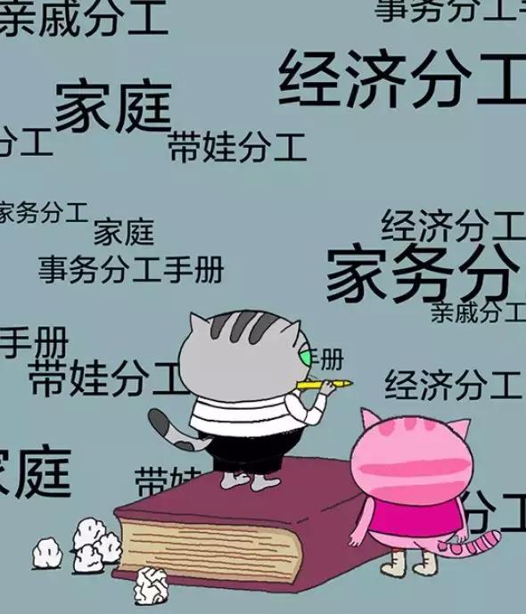 「经济日报」有猫病丨难道不是每对夫妻都应该有一个家庭事务分工手册吗？
