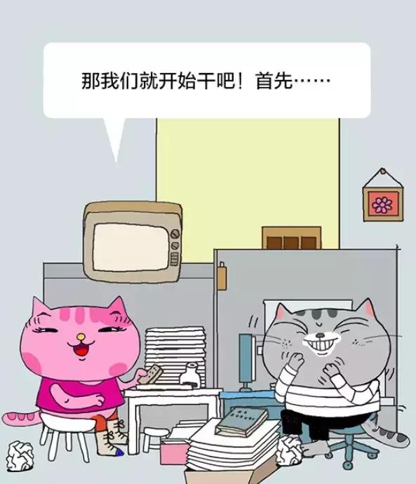 「经济日报」有猫病丨难道不是每对夫妻都应该有一个家庭事务分工手册吗？