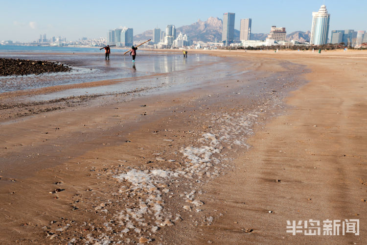 半岛都市报■-6℃！石老人海水浴场结冰了！